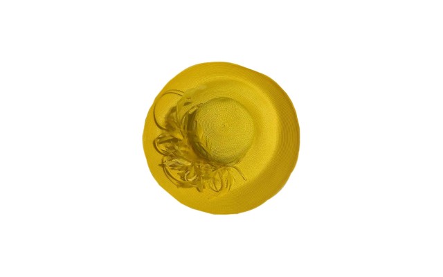  Company Women’s Extra Wide Brim Hat (Yellow)