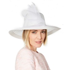 August Hat Sheer Wide-Brim Hat (Natural)