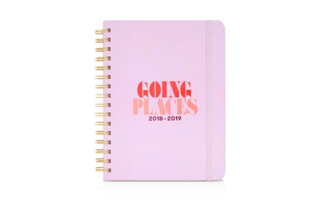  13 Month Medium Daily Planner, 2018-2019 Going Places