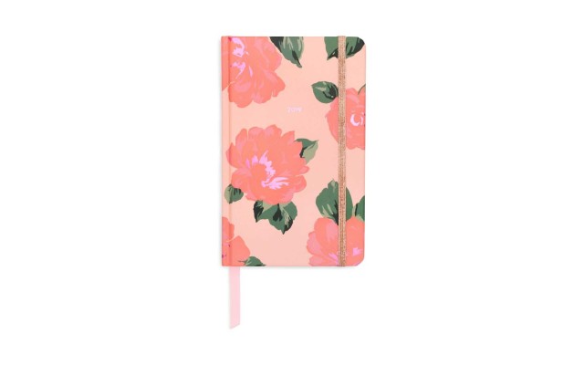  Classic 2019 12-Month Annual Hardcover Planner with Daily, Weekly, Monthly Spreads for January 2019 – Dec 2019 (Bellini, 8.2″ x 6.2″)