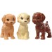  Doll Blonde and Playset with 3 Puppies and Accessories