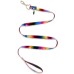  48-in xox Trolls Rainbow Dog Leash (Rainbow)