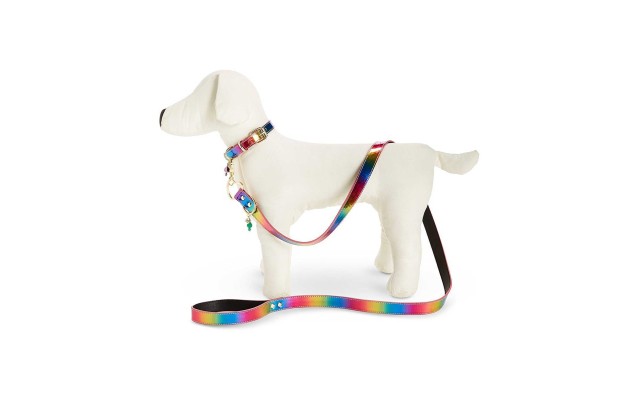 48-in xox Trolls Rainbow Dog Leash (Rainbow)