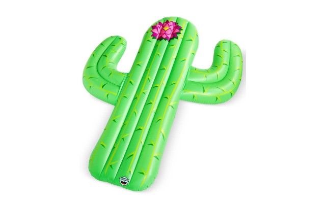 BigMouth Inc. Pool Floats Funny Inflatable Vinyl Summer Pool Or Beach Toys