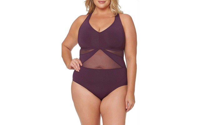 Bleu Rod Beattie Women’s Plus Size V Neck One Piece Swimsuit (Aubergine, 18)