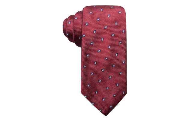 Men’s Woolsey Pine Classic Paisley Silk Tie (Red)