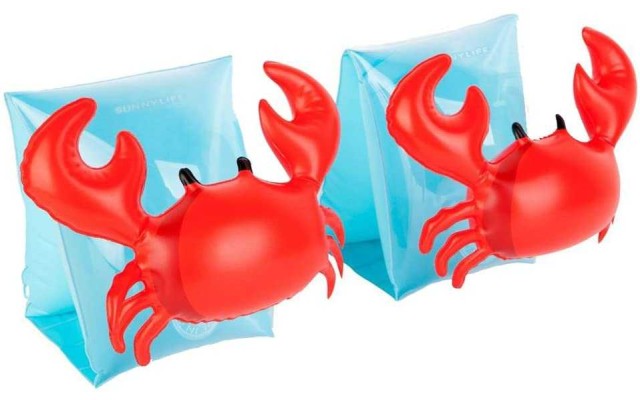 Cute Baby Swimming Arm Bands with Animal Shapes, Inflatable Arm Floats, Swimming Floaties for Kids, Children, Toddlers, Boys & Girls of Any Age for Pools, Swim Schools, Beaches