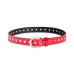  Women’s Spazzolato Grommeted Belt