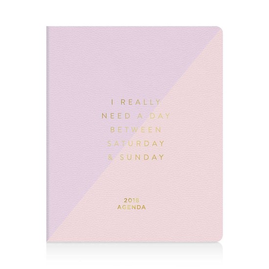  I Really Need A Day Between Saturday and Sunday 17 Month Planner