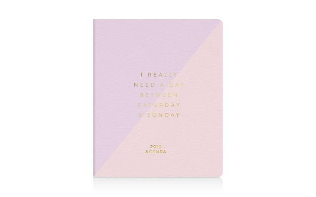  I Really Need A Day Between Saturday and Sunday 17 Month Planner