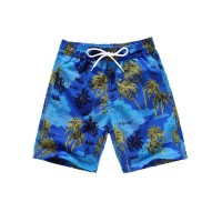Funny Summer Swim Trunks for Kids, Quick Dry Swim Shorts for Boys and Girls, Bathing Suits, Swimwear, Swim Shorts with Various Colors & Designs, Quick Dry Nylon Shorts