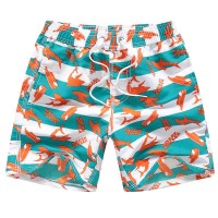 Funny Summer Swim Trunks for Kids, Quick Dry Swim Shorts for Boys and Girls, Bathing Suits, Swimwear, Swim Shorts with Various Colors & Designs, Quick Dry Nylon Shorts