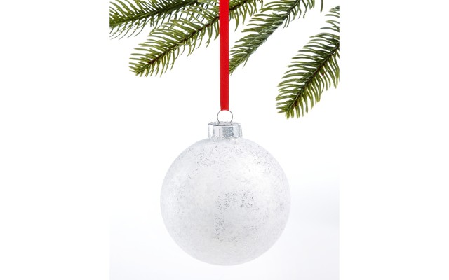  The Holiday Collection Silver Ball Ornament