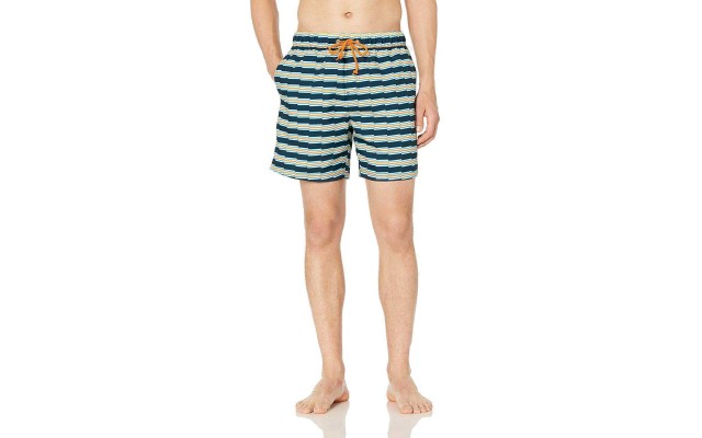  Men’s Stripe Elastic Waist Volley Swim Shorts