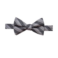 Ryan Seacrest Distinction Men’s Matera Stripe Pre-Tied Bow Ties