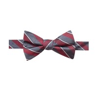 Ryan Seacrest Distinction Men’s Matera Stripe Pre-Tied Bow Ties