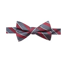 Ryan Seacrest Distinction Men’s Matera Stripe Pre-Tied Bow Ties