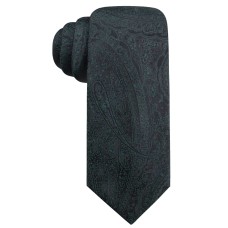 Ryan Seacrest Distinction Men’s Paisley Slim Silk Ties