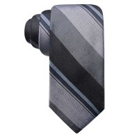 Ryan Seacrest Distinction Men’s Ponsay Slim Stripe Silk Ties