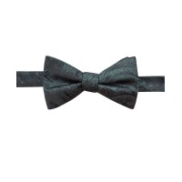 Ryan Seacrest Distinction Men’s Pre-Tied Dover Paisley Silk Bow Tie (Green)