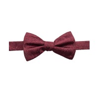 Ryan Seacrest Distinction Men’s Ramapo Paisley Pre-Tied Silk Bow Ties