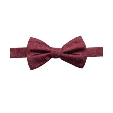 Ryan Seacrest Distinction Men’s Ramapo Paisley Pre-Tied Silk Bow Ties