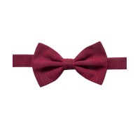 Ryan Seacrest Distinction Men’s Striped Chiffon Pre-Tied Bow Ties