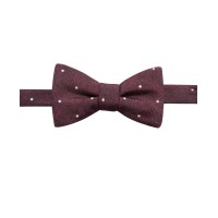 Ryan Seacrest Distinction Mens Umbria Dot Pre-Tied Bow Ties