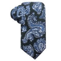 Tasso Elba Men’s Paisley Wool Tie (Green)
