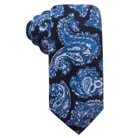 Tasso Elba Men’s Paisley Wool Ties