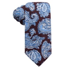 Tasso Elba Men’s Paisley Wool Ties