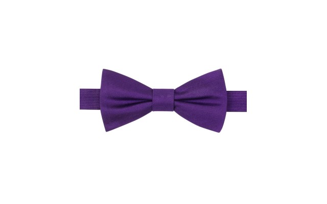  To-Tie Solid Bow Tie (Purple)