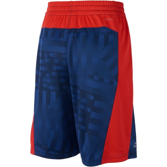  Big Boys Printed Colorblocked Shorts (Blue, L)