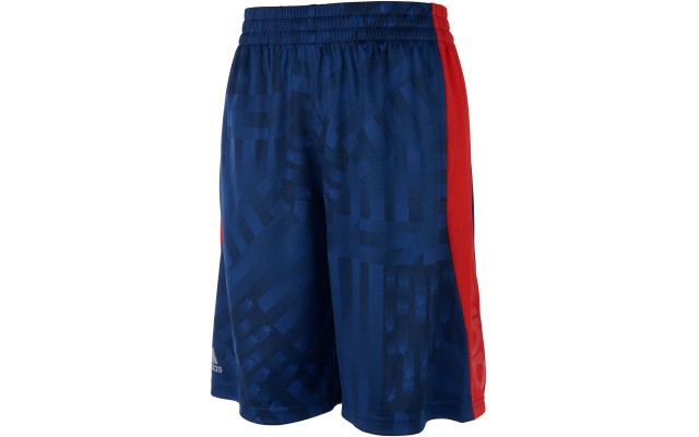  Big Boys Printed Colorblocked Shorts (Blue, L)