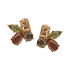 Anne Klein Gold-Tone Stone Cluster Clip-On Stud Earrings