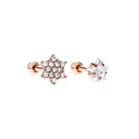 Bodifine Rose Gold Plated Stainless Steel Set of 2 Cz Tragus