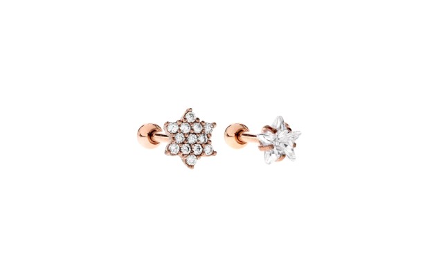 Bodifine Rose Gold Plated Stainless Steel Set of 2 Cz Tragus