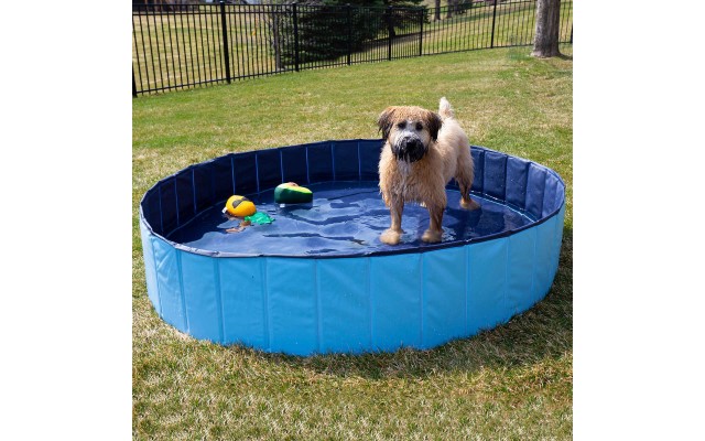 XXL Pet Pool Kit (Pineapple, Watermelon, Avocado, Mesh bag)