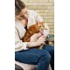  Squeeze Up Lickable Wet Cat Treats, Chicken Senior 10+ 32 Tubes