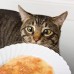  Stew Cat Treat Variety Pack, 1.4-oz, case of 12