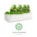  Raised Garden Bed Vegetables & Flower Box Planter for Patio Backyard, White, 48''L x 24''W x 12''H