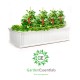  Raised Garden Bed Vegetables & Flower Box Planter for Patio Backyard, White, 48''L x 24''W x 12''H