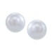  Cultured Freshwater Pearl (5-6mm) Stud Earring (Gray)