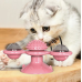 Interactive Indoor Rotating Windmill Toy, Brush, Scratcher For Cats With LED and Catnip Balls, Pink