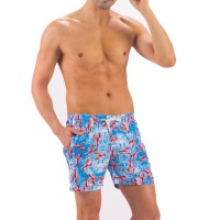 Solid Colored & Printed Quick Dry Summer Swim Trunks for Men, Swimwear, Bathing Suits, Swim Shorts with Various Colors & Designs, Crabs Blue, 3X-Large