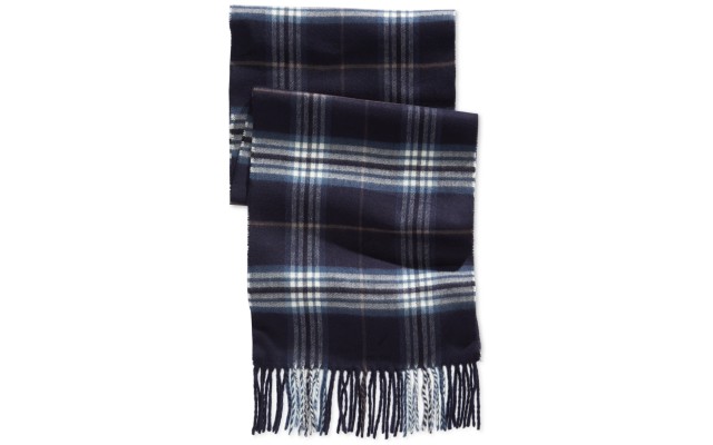  Men Cashmink Classic Scarves, Blue