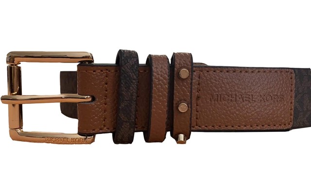  Women’s Gold Tone Buckle With Studs (Chocolate, Small)
