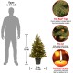 3 ft. Jersey Fraser Fir Tree with Battery Operated Warm White LED Lights