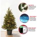  3 ft. Jersey Fraser Fir Tree with Battery Operated Warm White LED Lights