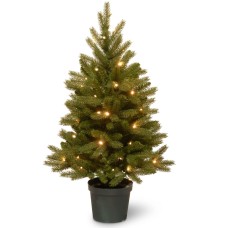 National Tree 3 ft. Jersey Fraser Fir Tree with Battery Operated Warm White LED Lights